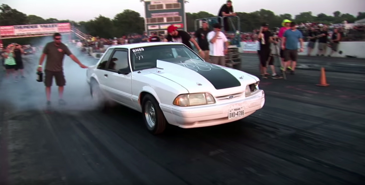 One-eyed Mustang nearly kills its rival