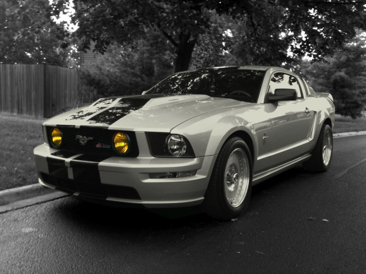 2005 Ford Mustang Roush