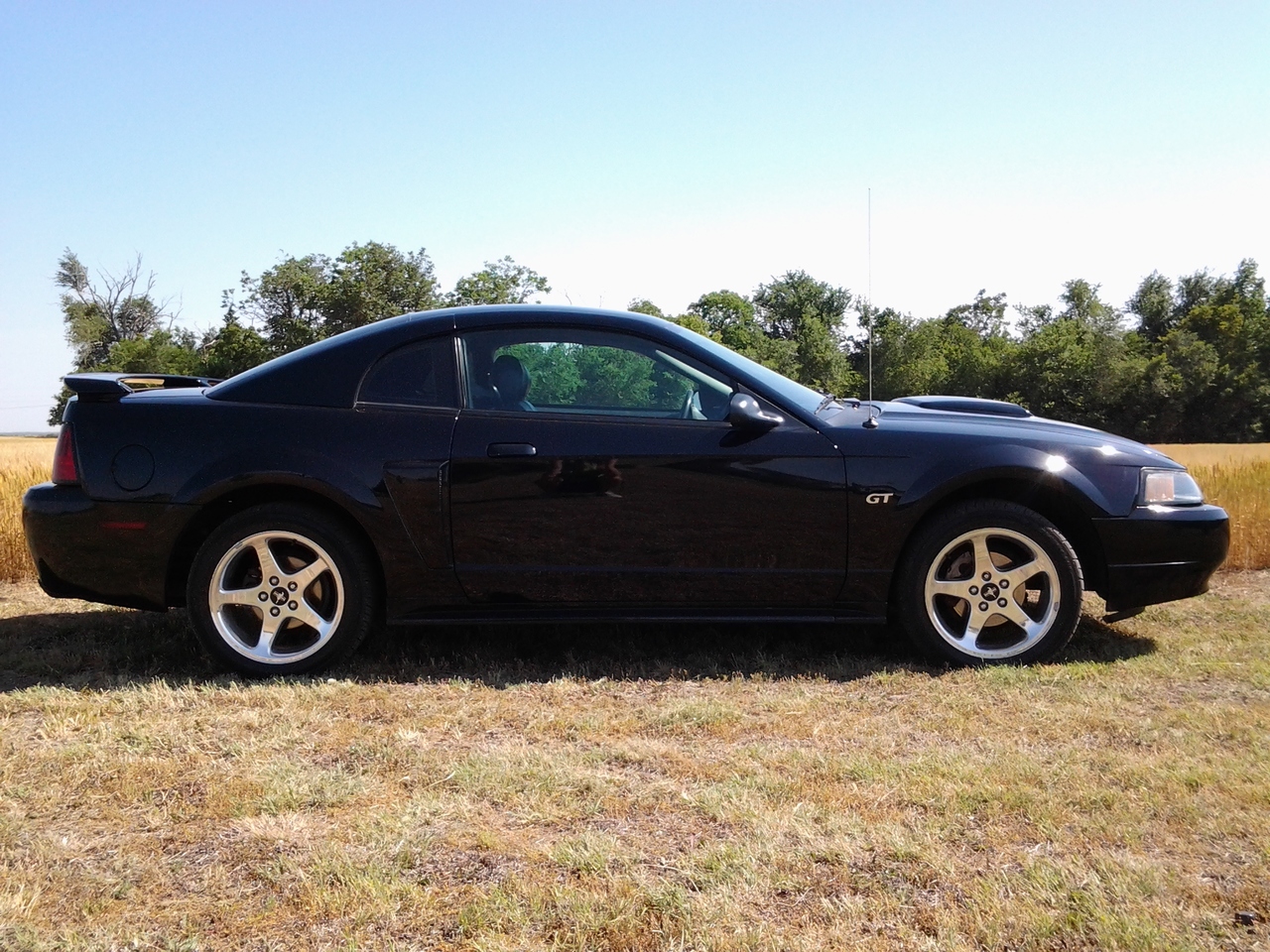 2003 Ford Mustang