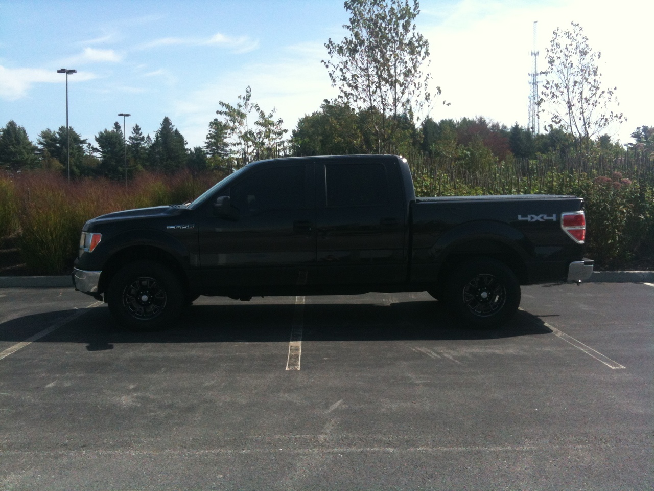 2010 Ford F-150 XL